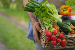 Lack of regulation hampers growth of organic market in Ukraine