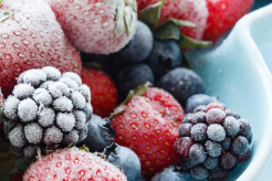 Ukrainian berry companies take part in Paris trade fair with EU4Business support