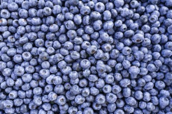 ITC starts discussion on Road Map for Ukrainian berry sector development