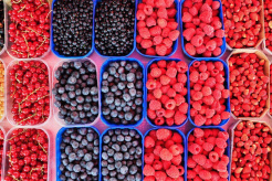 The EU helps Ukrainian berry companies enter the new markets