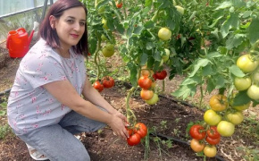 Lena Sargsyan, “The important thing in green agribusiness is to change the way people think”