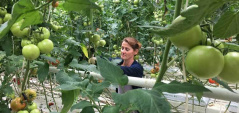 EBRD and EU help Georgian hydroponic farm expand