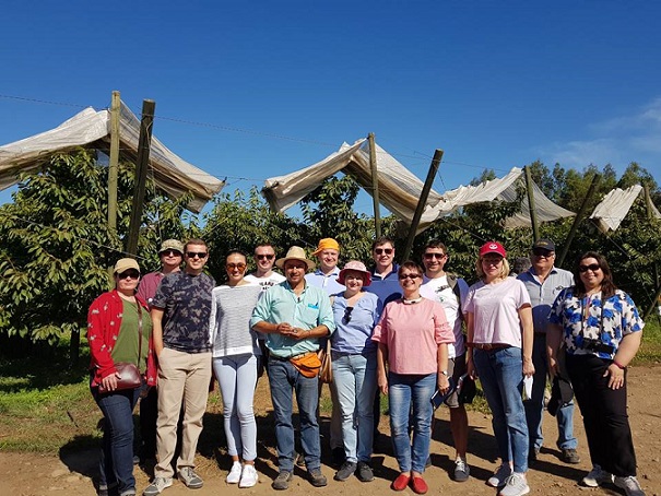 How to grow blueberries and what Ukrainian growers can learn from their study visit to Chile