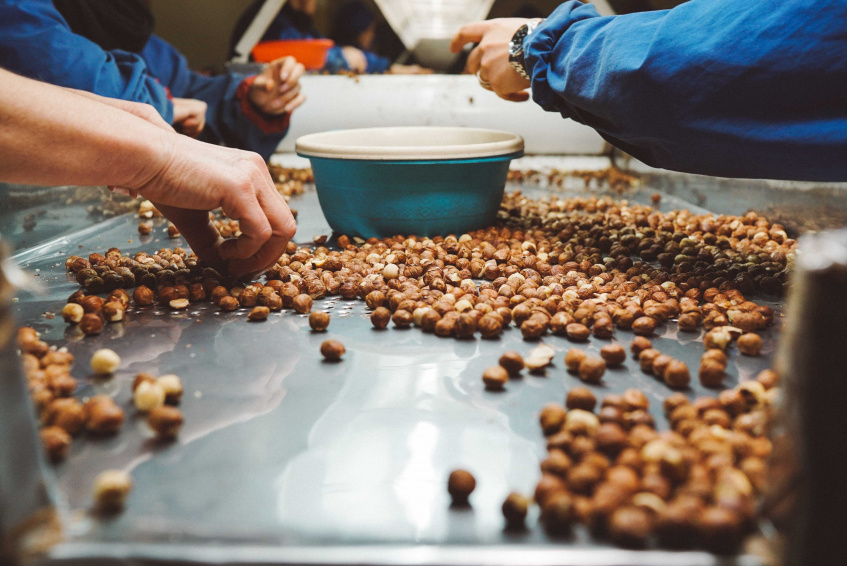 Supporting Georgian hazelnut growers to meet global demand