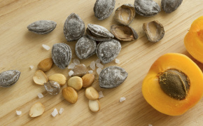 EU project supports Armenian entrepreneur to launch salted apricot kernels