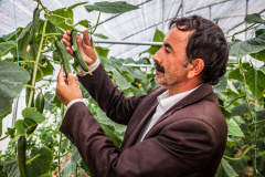 Azerbaijan: roadmap to 2020 targets new jobs and SMEs to boost sustainable agriculture