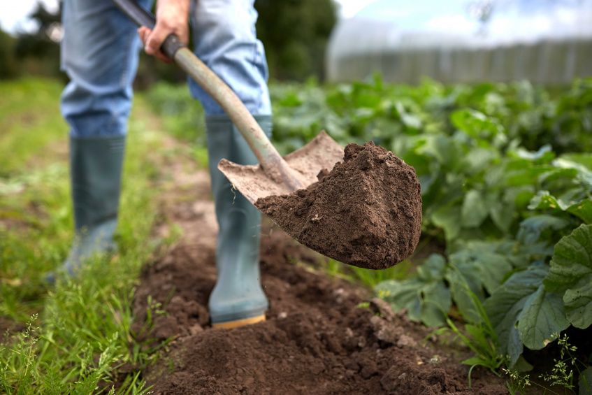 Ecological Farming Consultancy Centre opens on left bank of Dniester with EU support