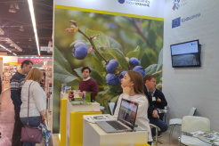 Export boost for Ukrainian berry SMEs at Biofach 2019 trade fair