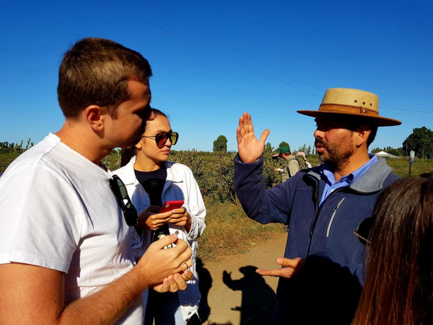 Focus on Chilean example: week-long study tour for Ukrainian berry producers