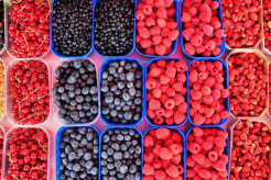 Ukrainian berry producers participate in the world-renowned online trade fair
