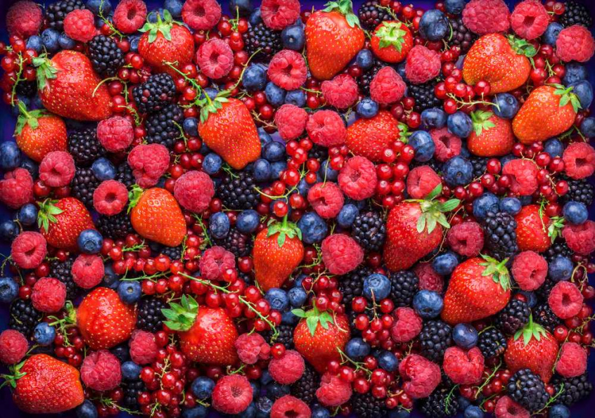 The Road Map of Ukrainian berries sector development: official presentation