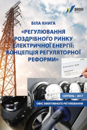 White Paper - Regulation of the Electricity Distribution Market. The Concept of Regulatory Reform