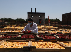 Developing Food Safety Enforcement in Armenia with European Union’s EU4Business Initiative