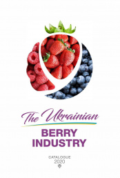 Ukrainian Berry Catalogue 2020