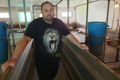 1,500 happy pigs on the Dniester River, thanks to EU funds