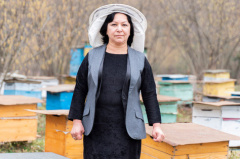 Gurbanaliyev family beekeeping co-op branches out