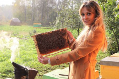 Big Benefits of Small Bees