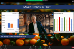 Eastern Partnership: Ready to Trade project helps Georgian SMEs to boost trade of hazelnuts between the EU and within the EaP