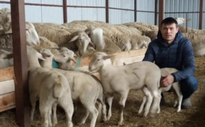 Livestock breeders in Moldova benefit from PARE 1+1