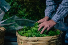 TBC Bank in Georgia to receive EBRD and EU funding to boost small companies