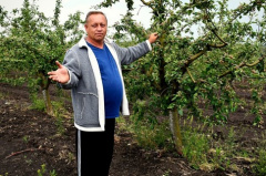 Moldova’s Ungheni and Cahul regions see business results