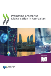 Promoting Enterprise Digitalisation in Azerbaijan