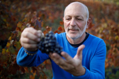 Georgia’s 8,000 year-old wine industry gets a real boost in Racha