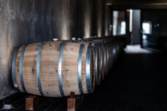 EBRD lends €50 million to Moldova’s largest bank