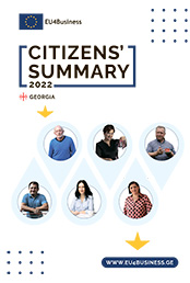 Citizens' Summary 2022: Georgia