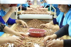 Fertile ground for jobs growth