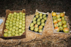 Exports from Moldova to the EU rise by 57.2%