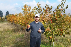 Bringing the best to market