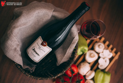 Major winemaking company ups production with EU4Business support