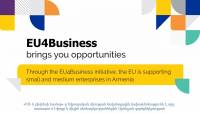 EU4Business Results in Armenia in 2021