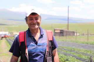 Strawberries in the snow: overcoming resistance to introduce new technologies in Armenian agriculture