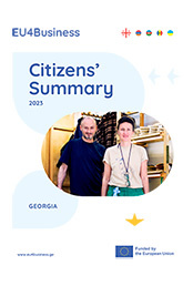 Citizens' Summary 2023: Georgia