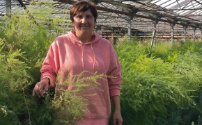 Karine Heriknazyan, “In growing asparagus, we chose to engage particularly women”