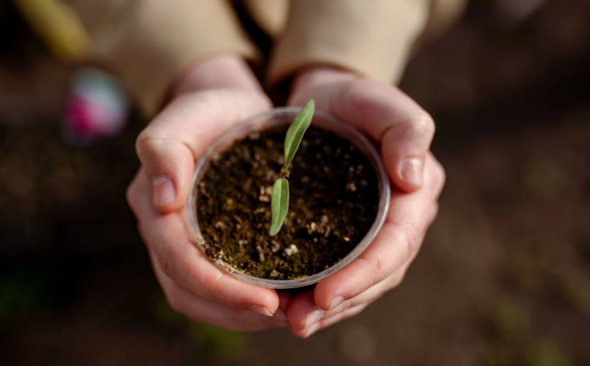 EU and UNDP launch joint project to support Moldova’s green transition