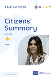 Citizens' Summary 2024: Armenia