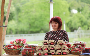 EU and German government help Georgian strawberry farmer grow business