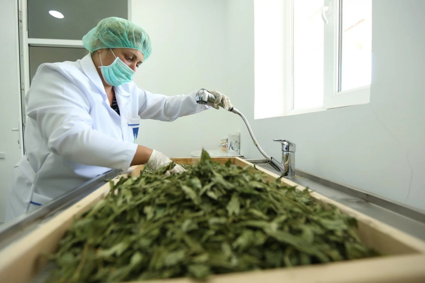 European Commission and EIB Global offer almost €70 million package to expand Armenian companies’ access to finance