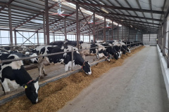 Moldova's Livestock Industry Receives $11 Million Investment Boost