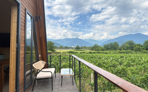 Bringing Father’s Vineyard Dream to Life with EU Support