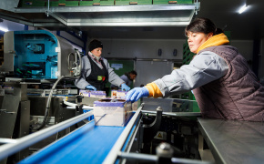 EU and EBRD support Moldovan fruit grower on its path to European markets