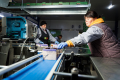 EU and EBRD support Moldovan fruit grower on its path to European markets