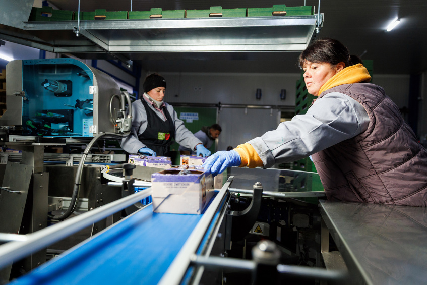 EU and EBRD support Moldovan fruit grower on its path to European markets