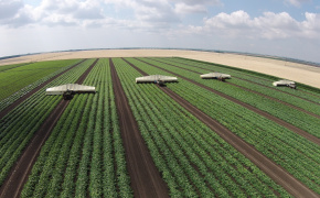 Keeping Ukraine’s “Tomato Belt” Alive: How EU4Business Supports Evrika in Wartime