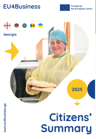 Citizens' Summary 2026: Georgia