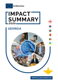 Citizens' Summary 2020: Georgia
