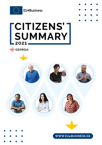 Citizens' Summary 2021: Georgia